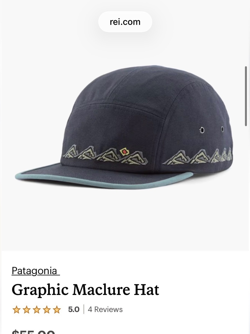 Patagonia Maclure Five Panel Hat